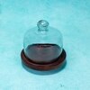 Ireka Homes Sugary Affair Acacia Wood Cake Stand with Glass Dome