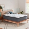 Euro Top Hybrid Latex  Spring Mattress (84 x 60 in, 6 Inches)