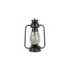 Dixie Multicolor Metal Wall Mounted Lantern Lamp