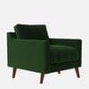 Reiti Velvet 1 Seater Sofa in Green Colour