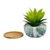 Artificial Aloe Vera Plant In A Patterned Ceramic Pot With A Wooden Plate