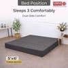 Usha Shriram Folding 3 Seater Double Foam Fold Out Sofa Cum Bedin Dark Grey Colour