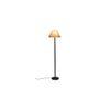 Harry Beige Natural Fiber Shade Floor Lamp with Black Iron Base