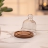 Ireka Homes Nibble Nest Acacia Wood Cake Stand with Glass Dome