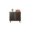 Carlem 2 Door Free Standing Engineered Wood Shoe Rack in Wenge Finish