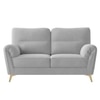 Osbert Velvet 2 Seater sofa in Grey color