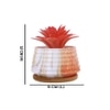 White 1 Pieces Succulent Artificial Plant With Pot