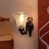 Devansh Metal Electric Wall Light in Antique gold Colour with Transparent Shade Count of 1 Light