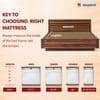 Sleepwell Star Gold, Medium Firm, Anti- Sag Tech 4 inch Single High Resilience (HR) Foam Mattress (L x W: 84 inch x 30 inch)