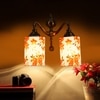 Devansh Metal Electric Wall Light in Multi Colour with Multi Shade Count of 2 Lights