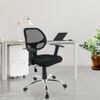 Ruffina Low Back Office Mesh Chair (Black)