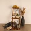 Lyric 3 Tier Shelf & Planter