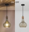 Optica Smoke Glass Hanging Light