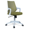 Xeanea Mid Back Ergonomic Chair in Pearl Green Colour