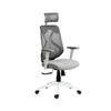 Lukano High Back Ergonomic Office Chair in Grey Colour