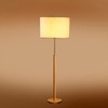 Devansh Wood & Metal Floor Lamp