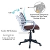 Xxeana Mid Back Ergonomic Chair in Brown Colour