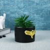 Black Majestic Elephant Planter