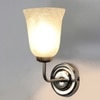 Devansh Metal Electric Wall Light in Steel Colour with White Shade Count of 1 Light