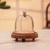 Ireka Homes Candy Glow Acacia Wood Cake Stand with Glass Dome