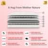 Biolife Ltx Indonesian Latex Foam Mattress