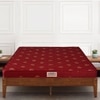 Amaze Eco High Density Foam Mattress (78 x 60 in, 4 Inches)