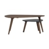 Scandinavian Vance Set of Two Occasional Tables Walnut Finish