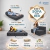 Sleep Spa Foldable 2 Seater Double Foam Fold Out Sofa Cum Bed in Grey Colour