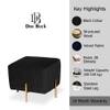 Doe Buck Adirondack Channel Tufted Velvet Ottoman Stool in Black Colour with Gold Legs