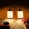 Devansh Metal Electric Wall Light in Multi Colour with Multi Shade Count of 2 Lights