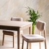 Dune Solid Wood Dining Table in White Colour