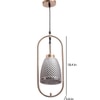 Eliante Hanging Light Smoky Black Mild Steel With Glass Shade, 1-Light Pendant Lamp