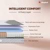 Sleepwell Ortho Pro Spring, Euro Top Finish, 3-zone pocket 8 inch Single Pocket Spring Mattress (L x W: 84 inch x 35 inch)