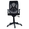Zeeazyana Mid Back Ergonomic Chair in Black Colour