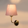 Devansh Metal Electric Wall Light in Gold Colour with Grey Shade Count of 1 Light