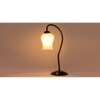 Milky Frosted Glass Curvy Table lamp with Iron Base (SP47)
