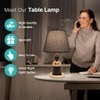ELARE Modern Minimalist Gold-Plated Metal Table Lamp