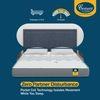 Sleepables Multi Layered  Spring Mattress