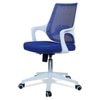 Xeanea Mid Back Ergonomic Chair in Blue Colour