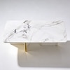Elara Curve Center Table