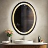 Oval Framed LED  Mirror Black Matte Gold Rose Gold Brushed Silver