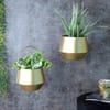 Hanging Wine Planter Set Of 2 In Gold Colour