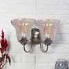 Devansh Steel Electric Wall Light in Steel Colour with Transparent Shade Count of 2 Lights