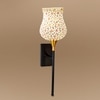 Devansh Metal Electric Wall Light in Black Colour with Multi Shade Count of 1 Light
