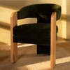 Nouve Solid Wood Dining Chair in Green Colour