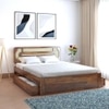 Seaside Escape Solid Wood Queen Size Drawer Storage Bed