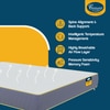 Sleepables Orthopedic Memory Foam Back Support Mattress (75 x 72 in, 6 Inches)