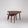 Abel Solid Wood Coffee Table in Brown Colour