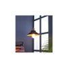 Nora Black Metal Single Hanging Light