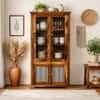 Akira Sheesham Wood Book Case Cum Crockery Unit  In Honey Oak  Finish